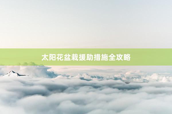太阳花盆栽援助措施全攻略