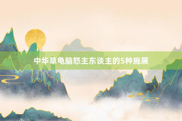 中华草龟脑怒主东谈主的5种施展