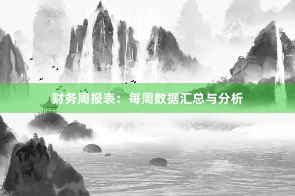 财务周报表：每周数据汇总与分析
